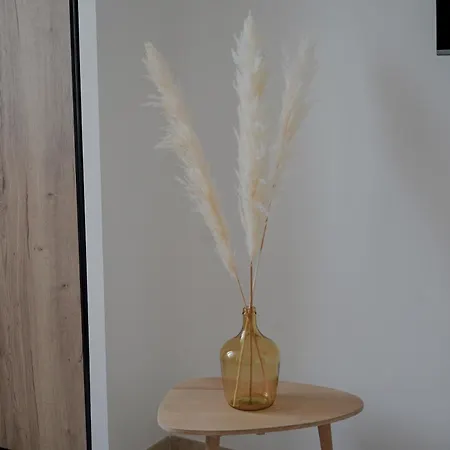 Chateau De L'insolas Villeneuve-lès-Avignon