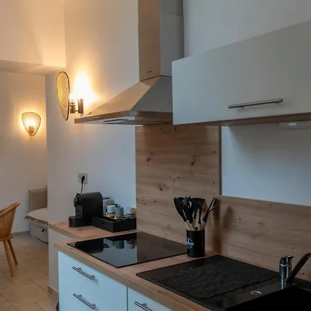 Hotel apartamentowy Chateau De L'insolas