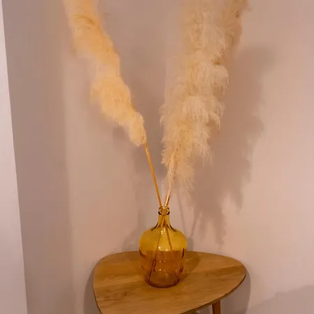 Hotel apartamentowy Chateau De L'insolas Villeneuve-lès-Avignon